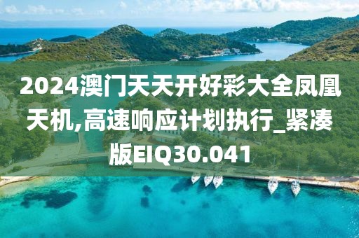 2024澳门天天开好彩大全凤凰天机,高速响应计划执行_紧凑版EIQ30.041