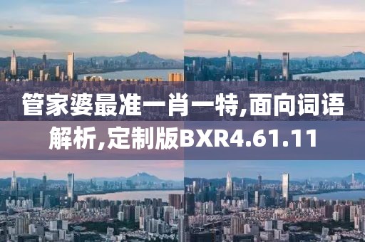 管家婆最准一肖一特,面向词语解析,定制版BXR4.61.11