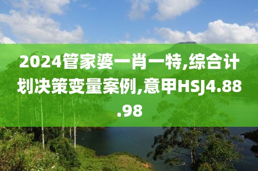 2024管家婆一肖一特,综合计划决策变量案例,意甲HSJ4.88.98