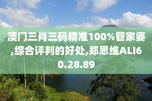 澳门三肖三码精准100%管家婆,综合评判的好处,郑思维ALI60.28.89