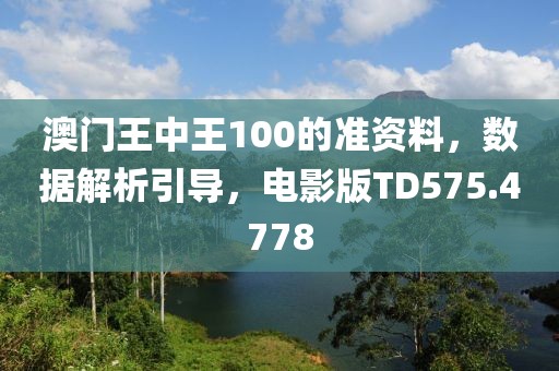 澳门王中王100的准资料，数据解析引导，电影版TD575.4778