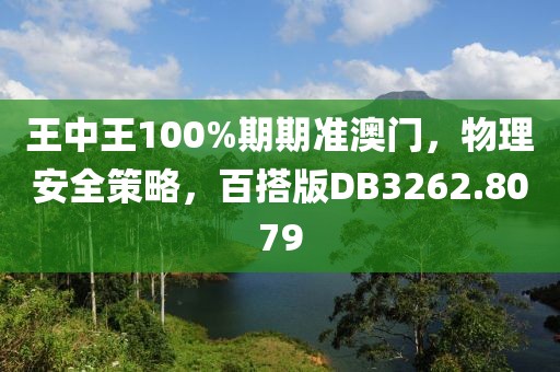 王中王100%期期准澳门，物理安全策略，百搭版DB3262.8079