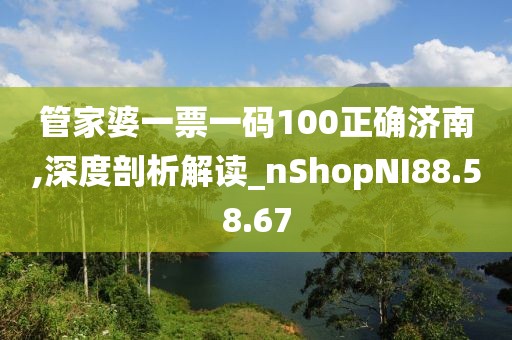管家婆一票一码100正确济南,深度剖析解读_nShopNI88.58.67