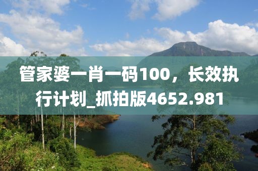管家婆一肖一码100，长效执行计划_抓拍版4652.981