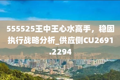 555525王中王心水高手，稳固执行战略分析_供应侧CU2691.2294