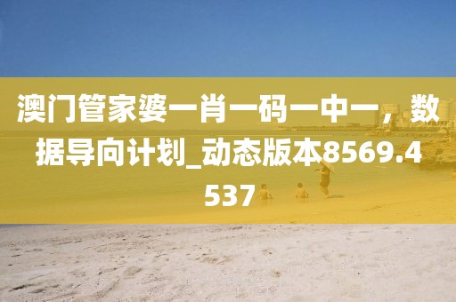 澳门管家婆一肖一码一中一，数据导向计划_动态版本8569.4537