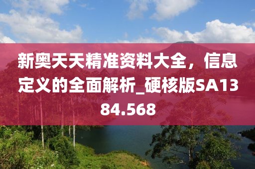 新奥天天精准资料大全，信息定义的全面解析_硬核版SA1384.568