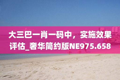 大三巴一肖一码中，实施效果评估_奢华简约版NE975.658