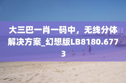 大三巴一肖一码中，无线分体解决方案_幻想版LB8180.6773