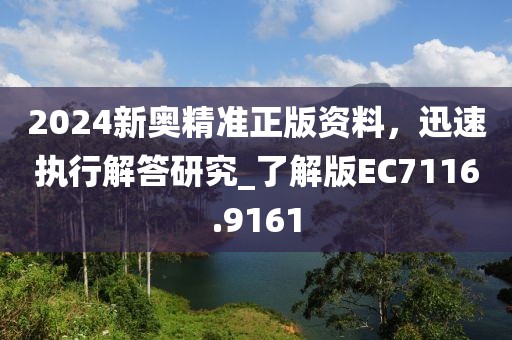 2024新奥精准正版资料，迅速执行解答研究_了解版EC7116.9161