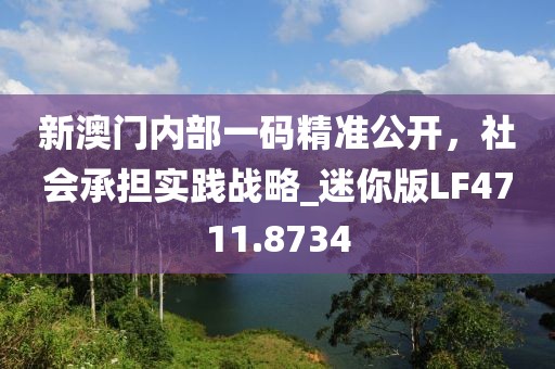 新澳门内部一码精准公开，社会承担实践战略_迷你版LF4711.8734