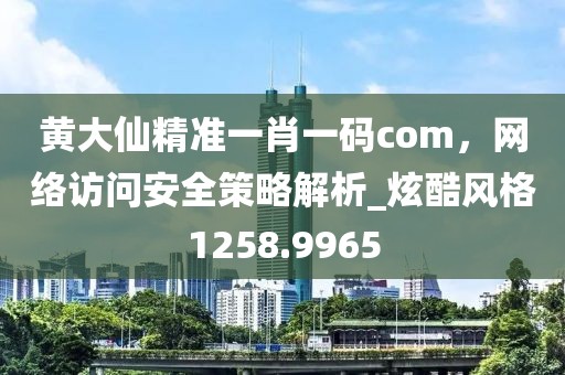 黄大仙精准一肖一码com，网络访问安全策略解析_炫酷风格1258.9965