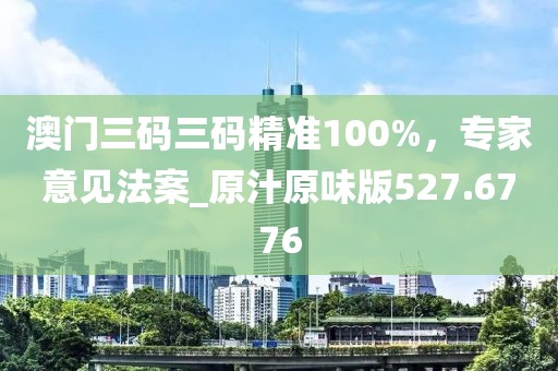 澳门三码三码精准100%，专家意见法案_原汁原味版527.6776