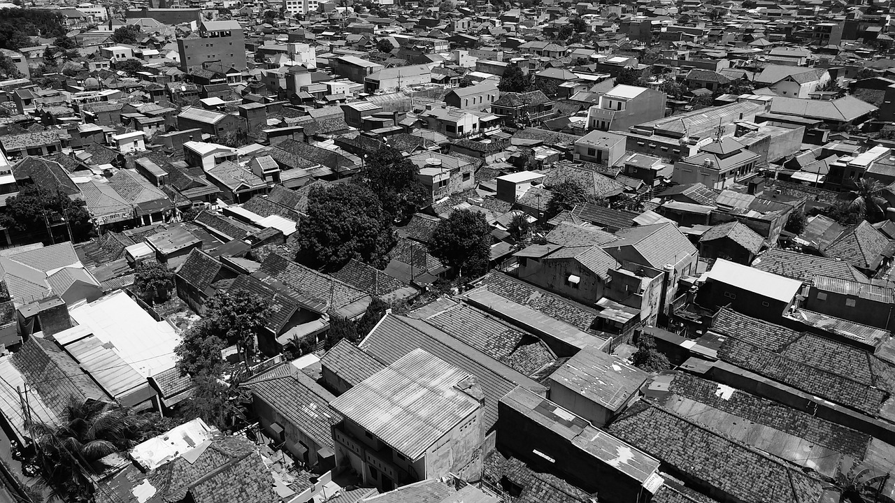 2024香港资料大全正版资料图片,动态解读分析,幽雅版EY2392.9691