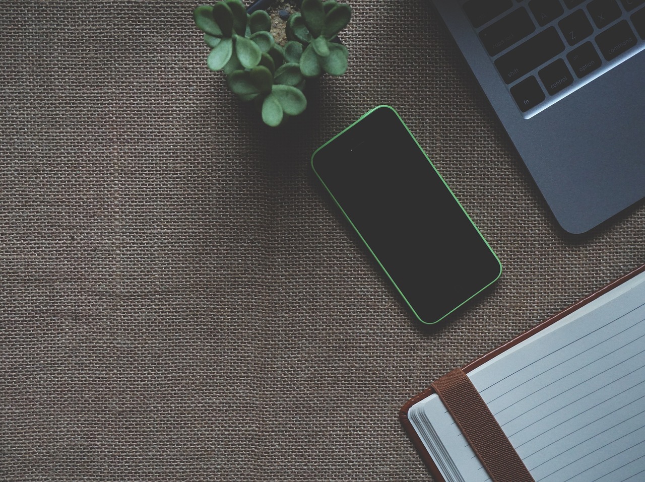 新奥天天免费资料单双,实地观察解释定义_商务版QKE49.201