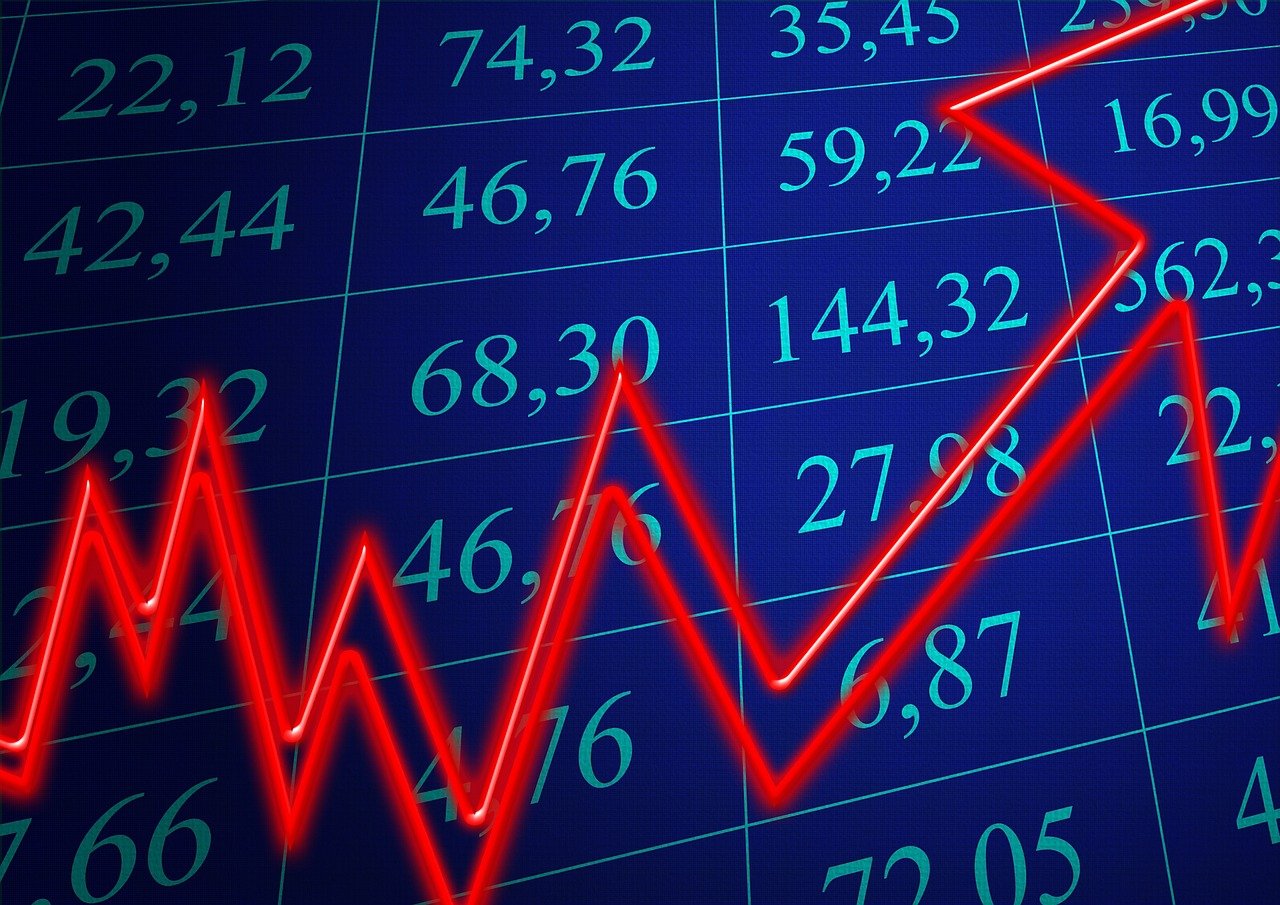 新奥天天免费资料单双,实地观察解释定义_商务版QKE49.201