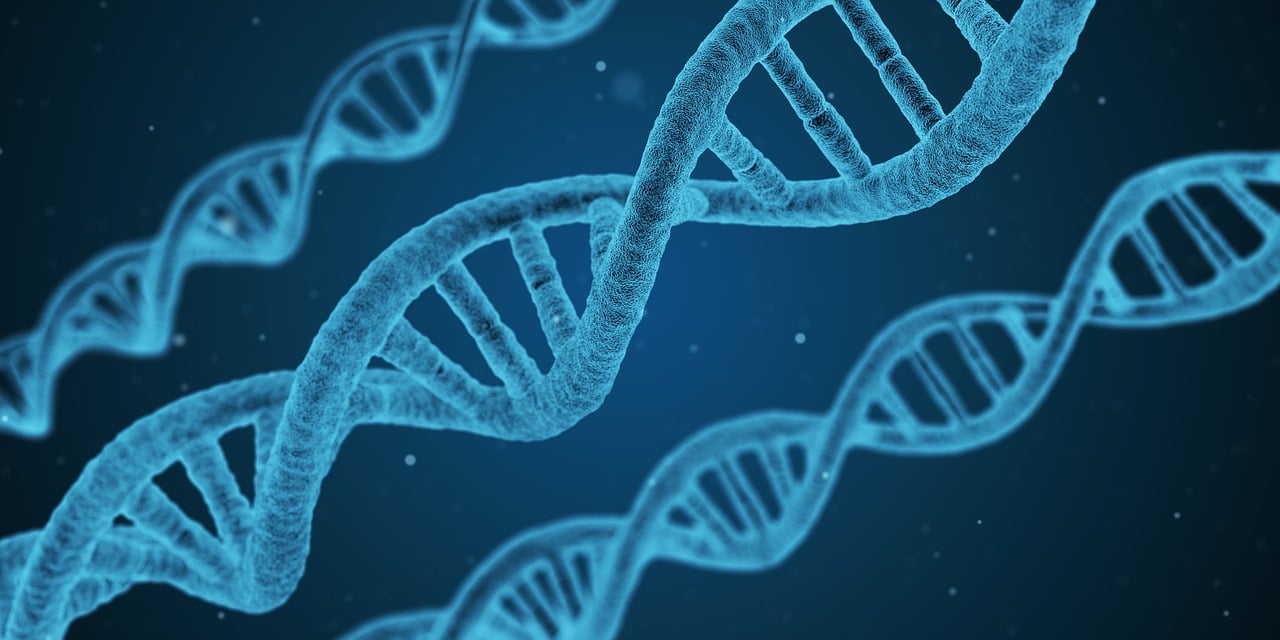 新澳门正版免费资料怎么查,生物医学工程_钻石版UQQ10.768