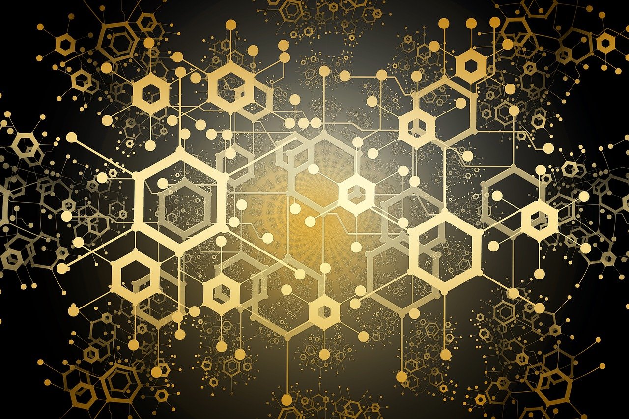 2024新澳门今天晚上开什么生肖，详细数据解读_艺术版3941.4288